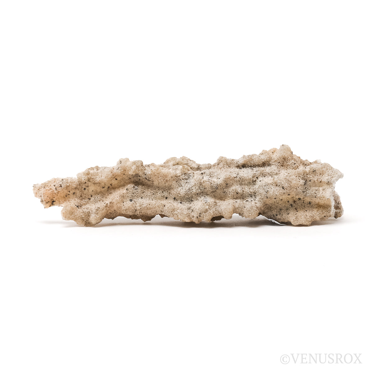 Fulgurite from North Africa | Venusrox