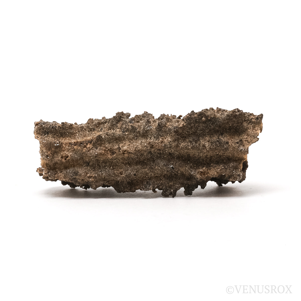 Fulgurite from North Africa | Venusrox