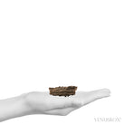 Fulgurite from North Africa | Venusrox