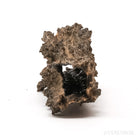 Fulgurite from North Africa | Venusrox