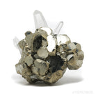 Pyrite with Quartz Natural Cluster from the Huanzala Mine, Huallanca District, Huanuco Department, Peru | Venusrox