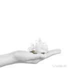 Pyrite with Quartz Natural Cluster from the Huanzala Mine, Huallanca District, Huanuco Department, Peru | Venusrox