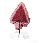 Pink Tourmaline Polished Slice from the Malkhan Pegmatite Field, Krasnyi Chikoy, Chitinskaya Oblast, Transbaikal, Eastern Siberia, Russia mounted on a bespoke stand | Venusrox