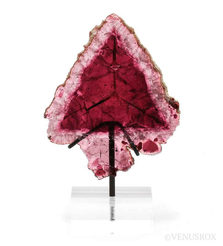 Pink Tourmaline Polished Slice from the Malkhan Pegmatite Field, Krasnyi Chikoy, Chitinskaya Oblast, Transbaikal, Eastern Siberia, Russia mounted on a bespoke stand | Venusrox