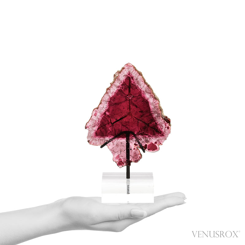 Pink Tourmaline Polished Slice from the Malkhan Pegmatite Field, Krasnyi Chikoy, Chitinskaya Oblast, Transbaikal, Eastern Siberia, Russia mounted on a bespoke stand | Venusrox