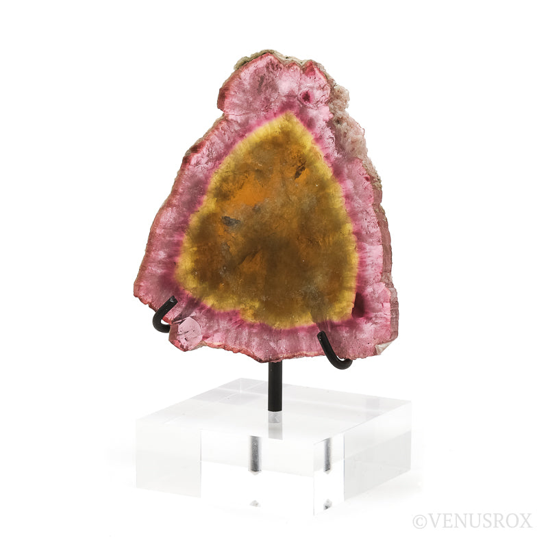 Pink/Yellow Tourmaline Polished Slice from the Malkhan Pegmatite Field, Krasnyi Chikoy, Chitinskaya Oblast, Transbaikal, Eastern Siberia, Russia mounted on a bespoke stand | Venusrox