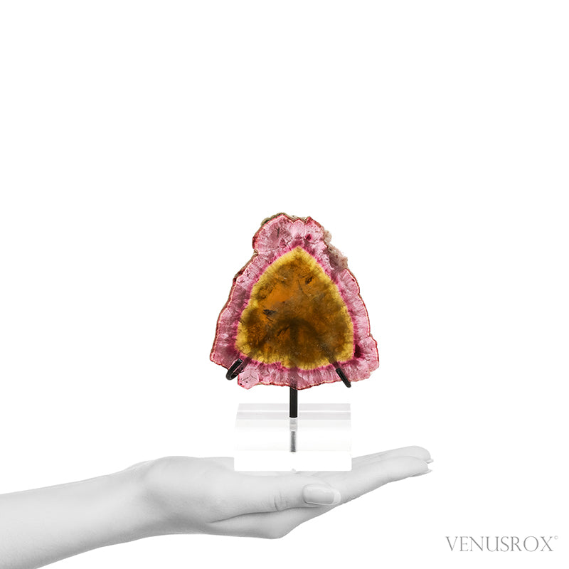 Pink/Yellow Tourmaline Polished Slice from the Malkhan Pegmatite Field, Krasnyi Chikoy, Chitinskaya Oblast, Transbaikal, Eastern Siberia, Russia mounted on a bespoke stand | Venusrox