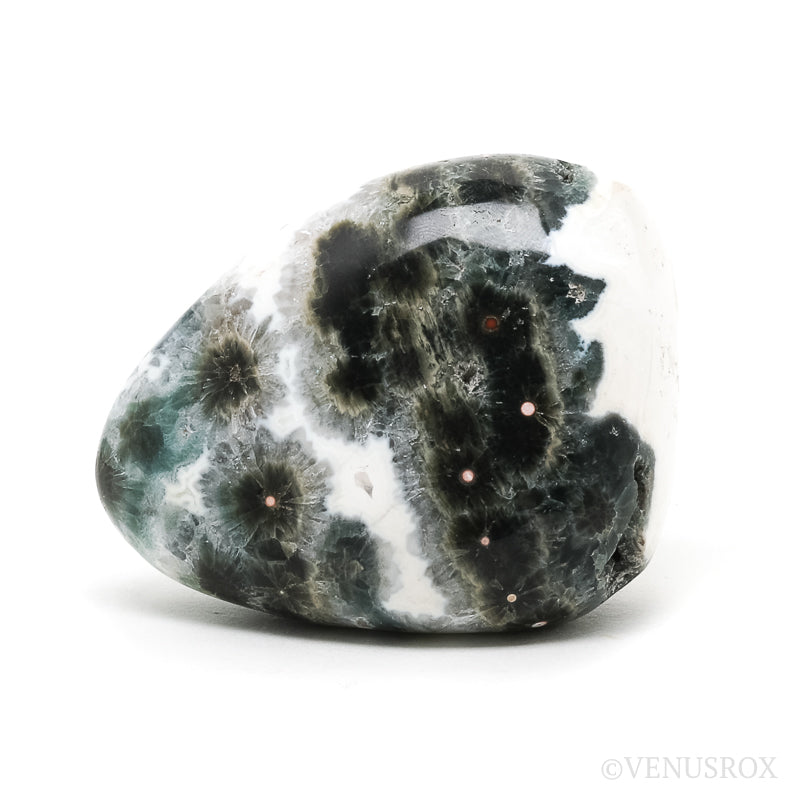 Ocean Jasper Egg from Madagascar | Venusrox