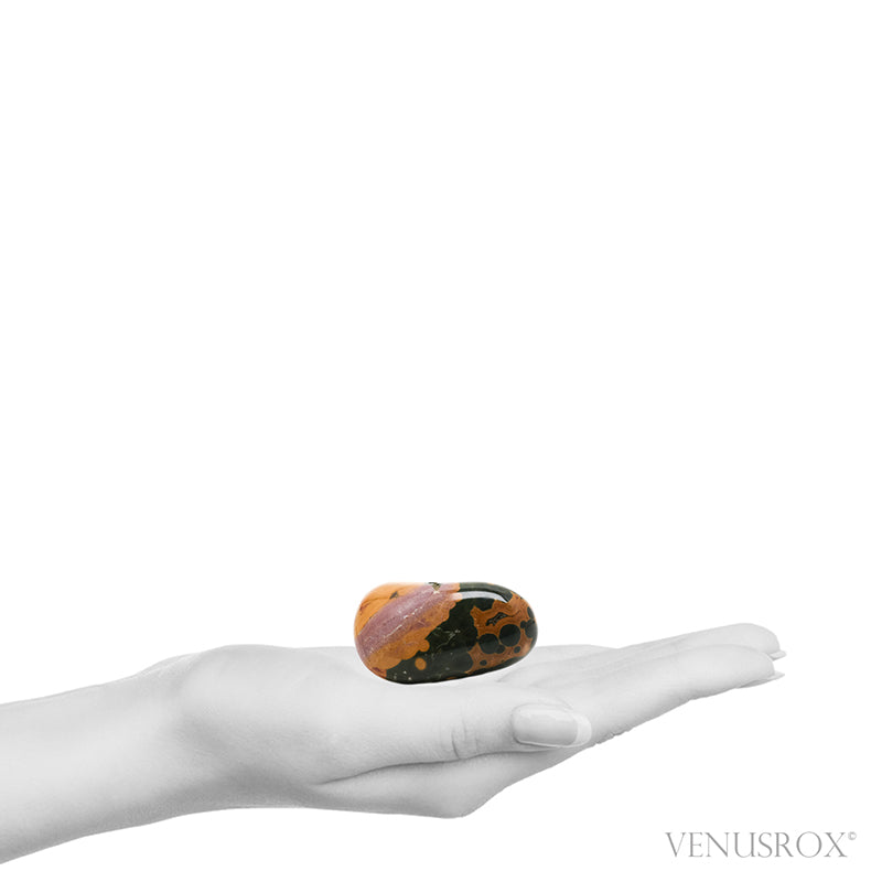 Ocean Jasper Egg from Madagascar | Venusrox