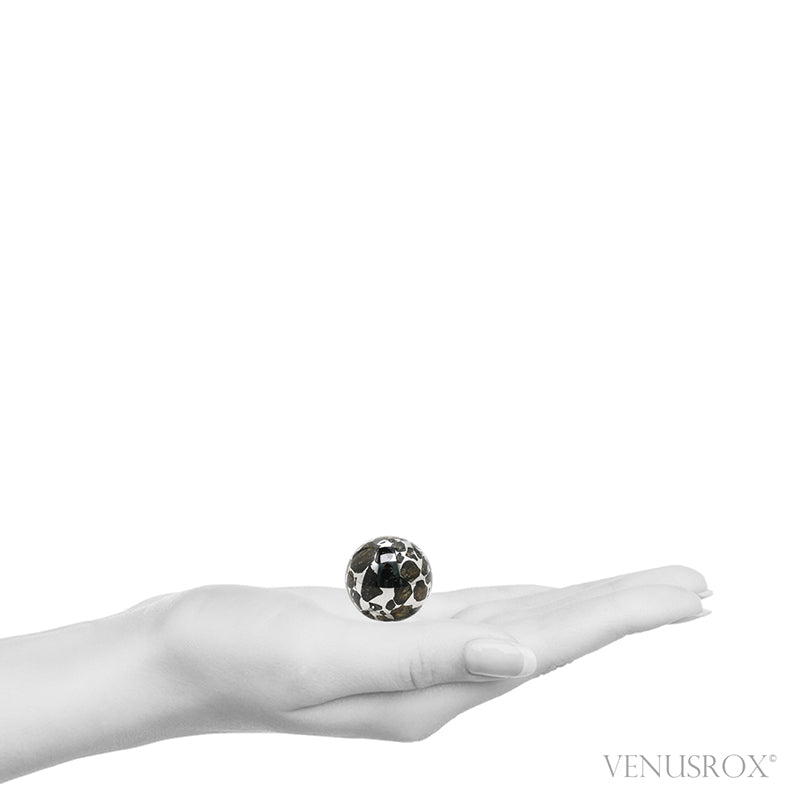 Seymchan Pallasite Meteorite Polished Sphere from the Hekandue River, Jasačnaja, Magadan District, Russia | Venusrox