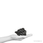 Sikhote-Alin Meteorite Regmalypted Fragment from the Sikhote-Alin Mountains, Russia | Venusrox