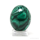Malachite Polished Egg from the Democratic Republic of Congo | Venusrox