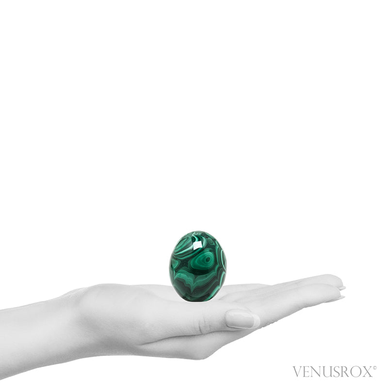 Malachite Polished Egg from the Democratic Republic of Congo | Venusrox