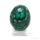 Malachite Polished Egg from the Democratic Republic of Congo | Venusrox