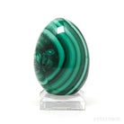 Malachite Polished Egg from the Democratic Republic of Congo | Venusrox