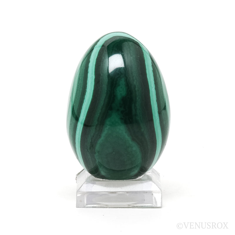 Malachite Polished Egg from the Democratic Republic of Congo | Venusrox