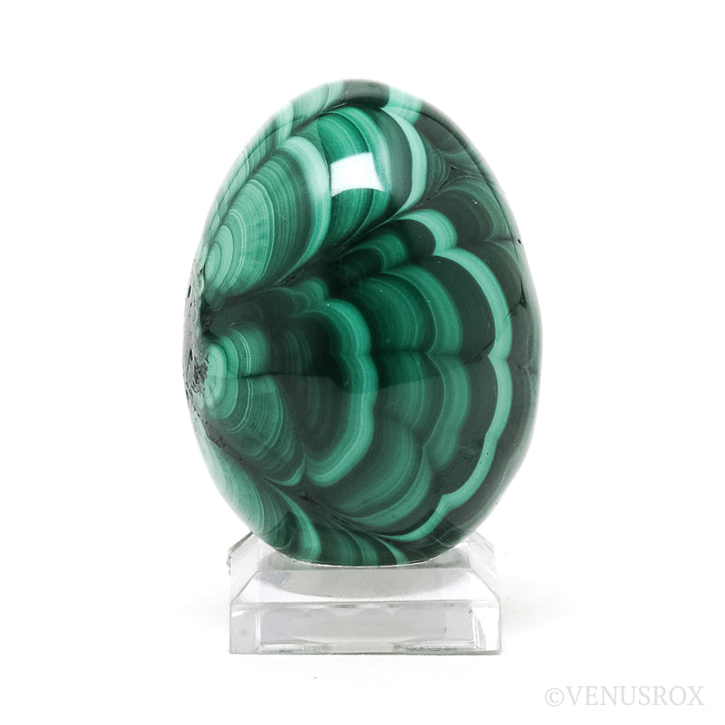 Malachite Polished Egg from the Democratic Republic of Congo | Venusrox