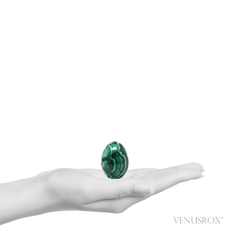 Malachite Polished Egg from the Democratic Republic of Congo | Venusrox