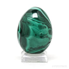 Malachite Polished Egg from the Democratic Republic of Congo | Venusrox
