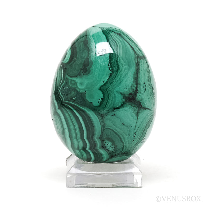 Malachite Polished Egg from the Democratic Republic of Congo | Venusrox