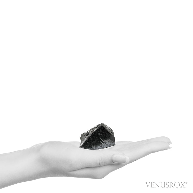 Elite Shungite Crystal from Shunga, Karelia, Russia | Venusrox