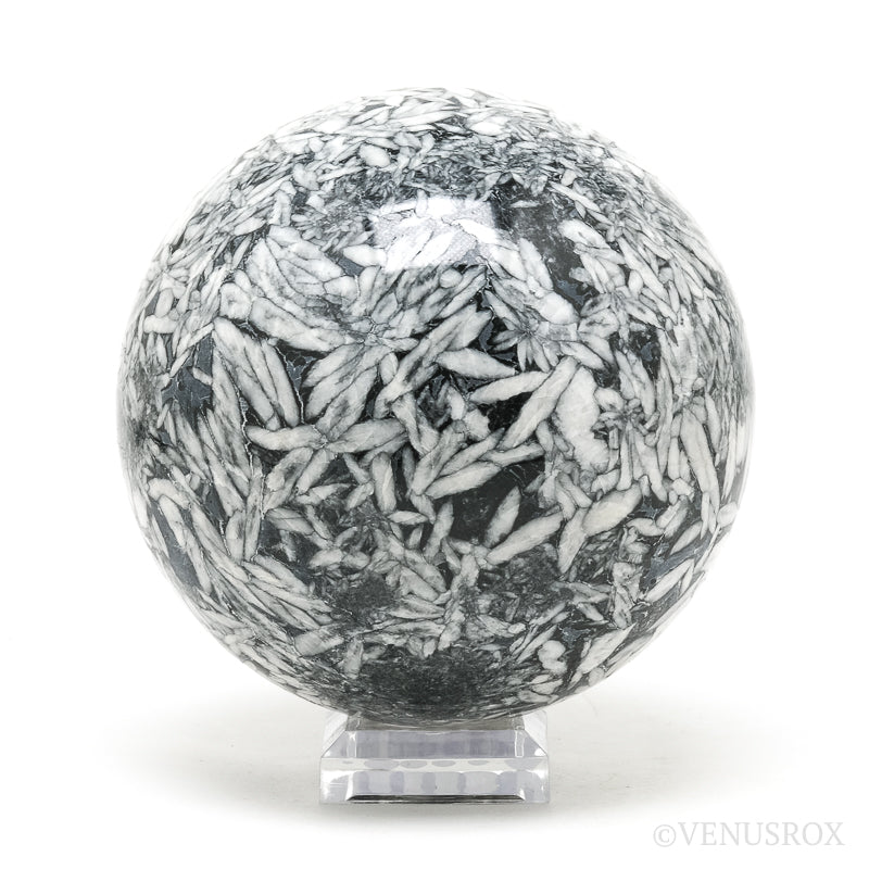 Pinolith Sphere from Sunk/Triben, Austria | Venusrox