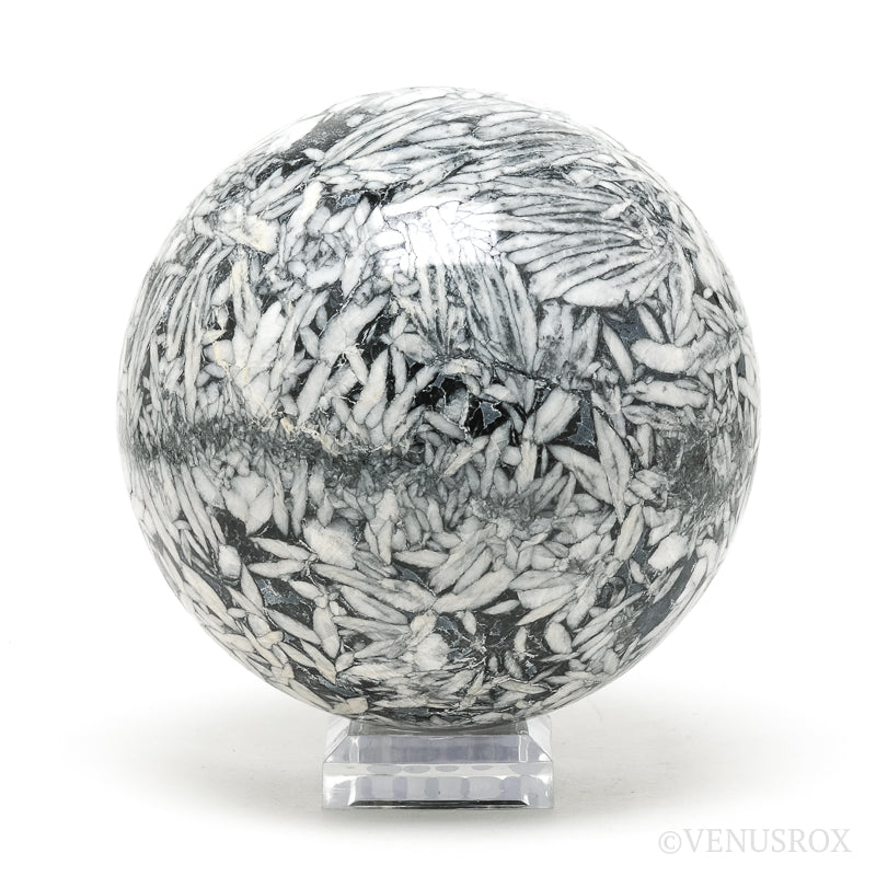 Pinolith Sphere from Sunk/Triben, Austria | Venusrox