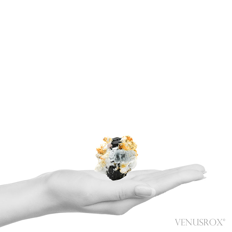 Aquamarine & Pink Apatite on Black Tourmaline & Albite Natural Cluster from Skardu, Gilgit-Baltistan, Pakistan | Venusrox