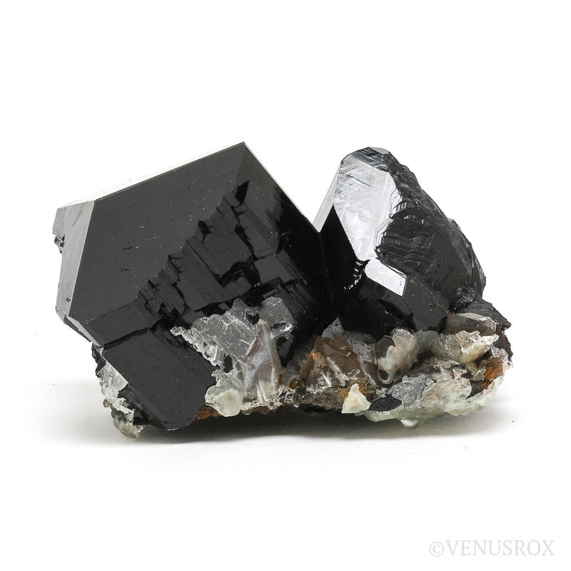 Black Tourmaline with Smoky Quartz Natural Cluster from the Erongo Mountains, Namibia | Venusrox