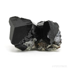 Black Tourmaline with Smoky Quartz Natural Cluster from the Erongo Mountains, Namibia | Venusrox