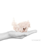 Clear Quartz Natural Cluster from the Santander Province, Colombia | Venusrox