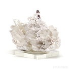 Hubnerite & Muscovite on Clear Quartz Natural Cluster from Pasto Bueno, Pampas District, Pallasca Province, Ancash, Peru | Venusrox