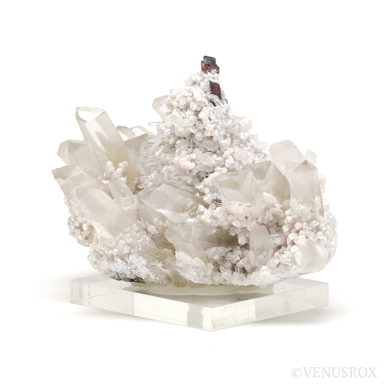 Hubnerite & Muscovite on Clear Quartz Natural Cluster from Pasto Bueno, Pampas District, Pallasca Province, Ancash, Peru | Venusrox