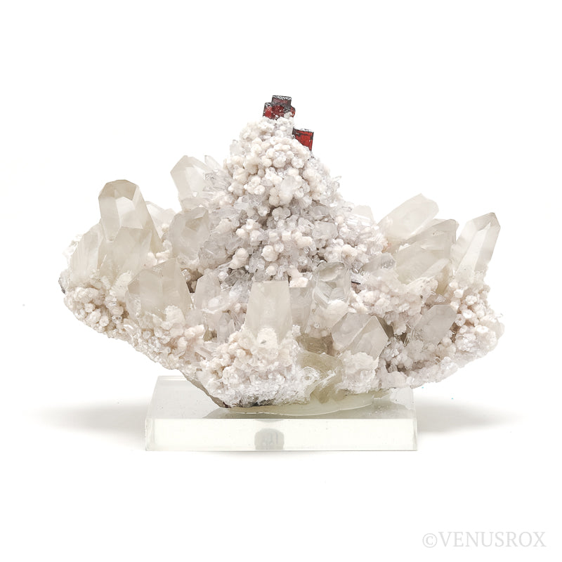 Hubnerite & Muscovite on Clear Quartz Natural Cluster from Pasto Bueno, Pampas District, Pallasca Province, Ancash, Peru | Venusrox