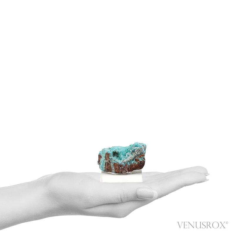 Gem Silica & Chrysocolla with Malachite & Clear Quartz on Matrix Natural Crystal from the Lily Mine, Pisco Umay, Ica, Peru | Venusrox