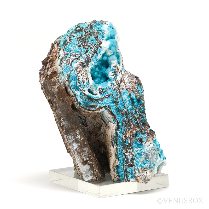 An exceptionally beautiful Gem Silica & Chrysocolla with Quartz on Calcite & Matrix Natural Crystal from the Lily Mine, Pisco Umay, Ica, Peru | Venusrox