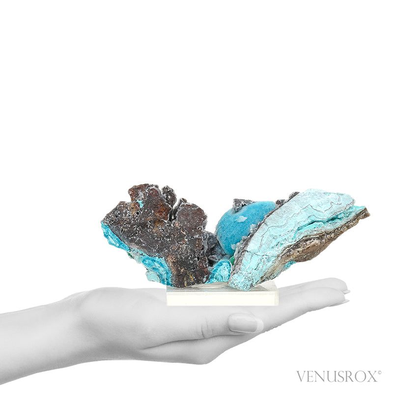 Gem Silica & Chrysocolla with Malachite & Clear Quartz on Matrix Natural Crystal from the Lily Mine, Pisco Umay, Ica, Peru | Venusrox