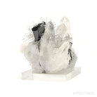 Hubnerite on Clear Quartz Natural Cluster from Pasto Bueno, Pampas District, Pallasca Province, Ancash, Peru | Venusrox