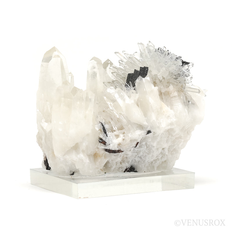 Hubnerite on Clear Quartz Natural Cluster from Pasto Bueno, Pampas District, Pallasca Province, Ancash, Peru | Venusrox