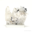 Hubnerite on Clear Quartz Natural Cluster from Pasto Bueno, Pampas District, Pallasca Province, Ancash, Peru | Venusrox