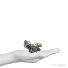 Himalayan Chlorite Quartz Natural Cluster from the Meru Peak Foot Hills, Garhwal, Uttarakhand, Indian Himalayas | Venusrox