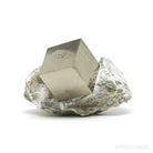 Pyrite Cubes in Matrix from Navajun, La Rioja, Spain | Venusrox