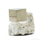 Pyrite Cubes in Matrix from Navajun, La Rioja, Spain | Venusrox