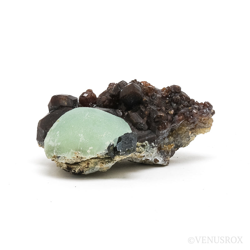 Prehnite with Epidote on Mali Garnet Natural Specimen from the Kayes Region, Mali | Venusrox