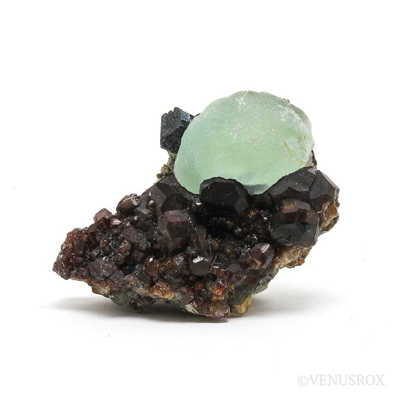 Prehnite with Epidote on Mali Garnet Natural Specimen from the Kayes Region, Mali | Venusrox