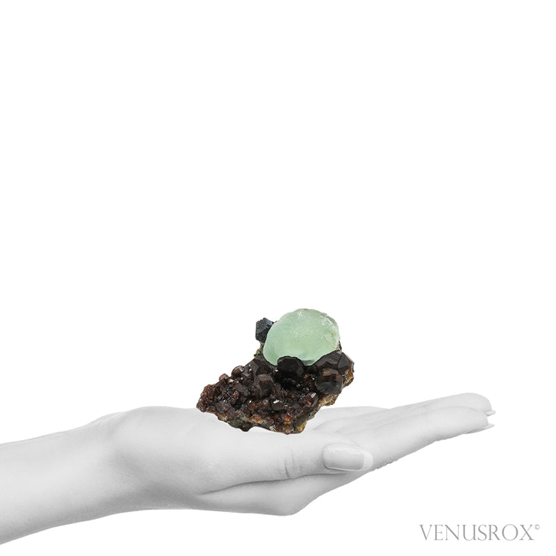 Prehnite with Epidote on Mali Garnet Natural Specimen from the Kayes Region, Mali | Venusrox