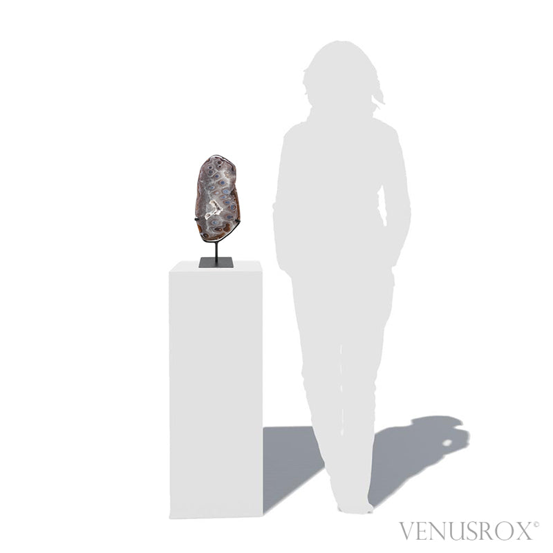 Agate with Clear Quartz Part Polished/Part Natural Slice from Brazil mounted in a bespoke stand | Venusrox