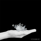 Clear Quartz Natural Cluster from Corinto, Minas Gerais, Brazil | Venusrox