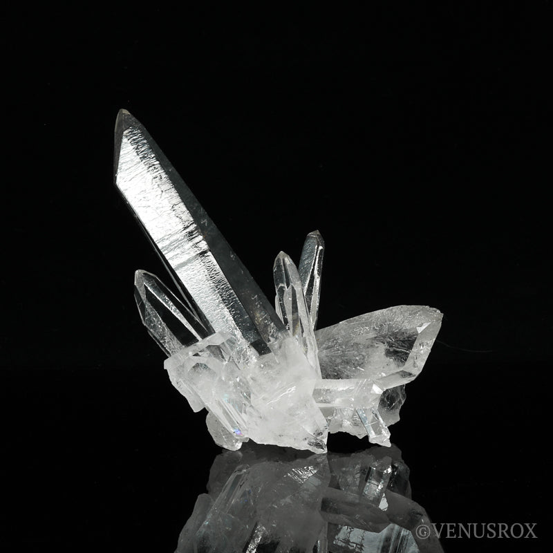 
Clear Quartz Natural Cluster from Corinto, Minas Gerais, Brazil | Venusrox