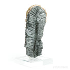Seraphinite with Calcite Natural Crystal from Korshunovskoye Iron Scary Deposit, Irkutskaya Oblast, Siberia, Russia mounted on a stand | Venusrox